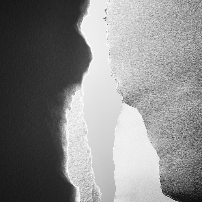 Taller Trees single artwork — torn paper composition in monochrome